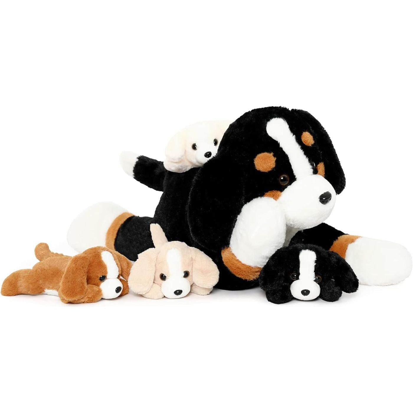 Best Bernese Mountain Dog Puppies for sale in Fort Pierce Best Bernese Mountain Dog Puppies for sale in Fort Pierce