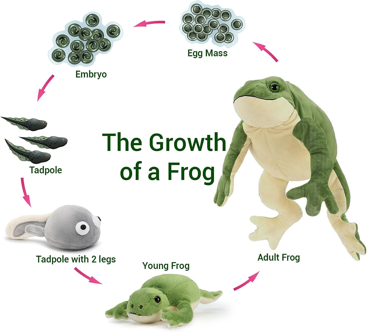 Frog Stuffed Animals - Frog Tadpole Plush Toys - 5 Pcs Frog Stuffed Animals - Realistic Frog Tadpole Plush Dolls - Cute Cartoon Plush Pillows for Kids - Cozy Cushion Pillows - Christmas/Birthday Gift for Kids