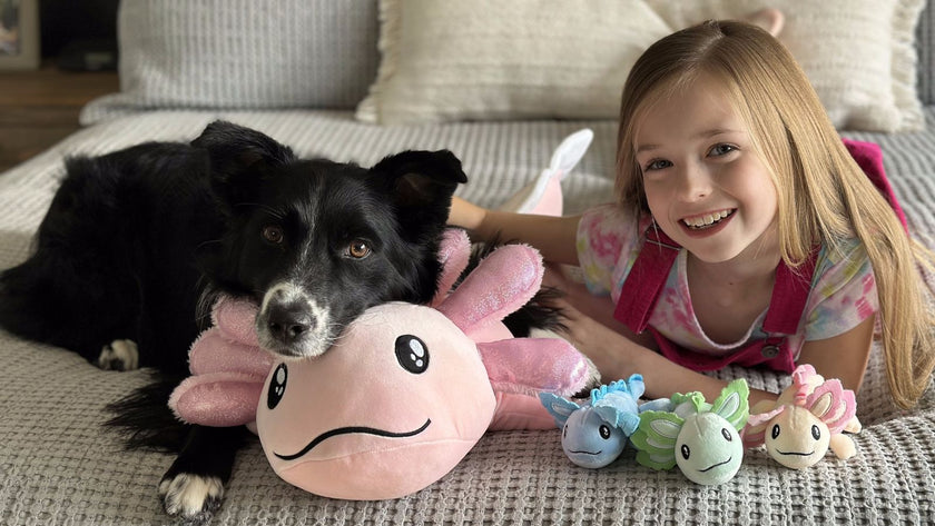 What Makes MorisMos Axolotl Plush Toy So Popular?