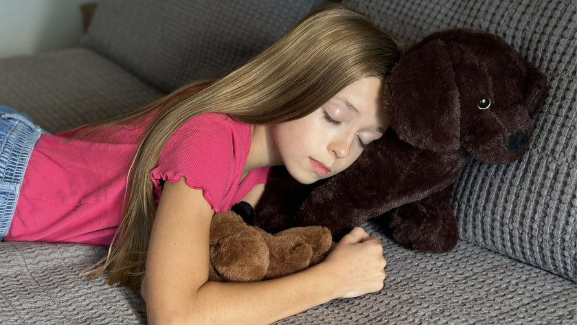 Minimalism vs. Sentimental Clutter: Why It’s Hard to Let Go of Plush Toys