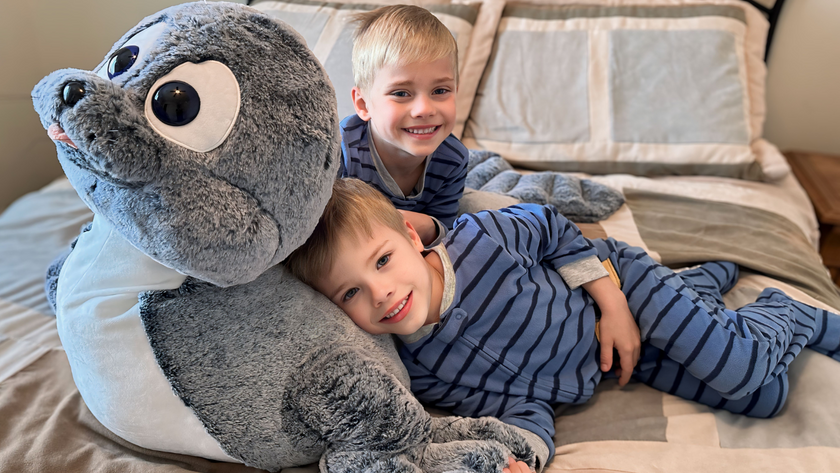 Comment conserver les jouets en peluche ?