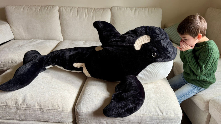 Thankful for Cuddles: What Our Plushies Would Say They’re Grateful For This Thanksgiving