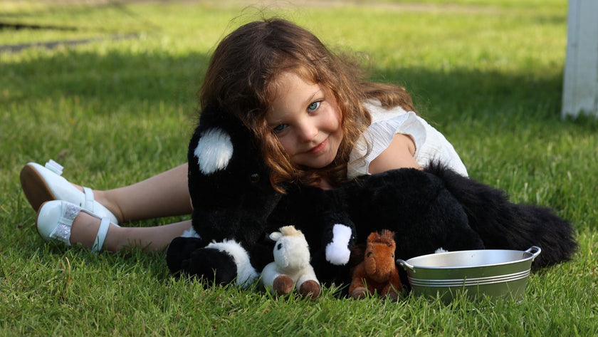 The Emotional Power of Stuffed Animals: How Plush Companions Support Psychological Development From Childhood Through Adulthood