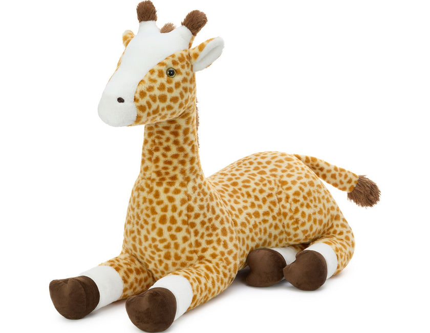 Safari