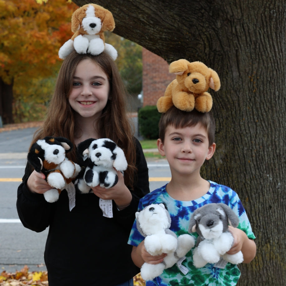 6 Pcs Dog Stuffed Animals Puppy Plush Toys, 10 Inches - Schnauzer/Husky/Bernese/Golden Retriever/Beagle/Dalmatian - MorisMos Puppy Stuffed Animals Bulk - Dog Plush Toys Collection - Free Shipping