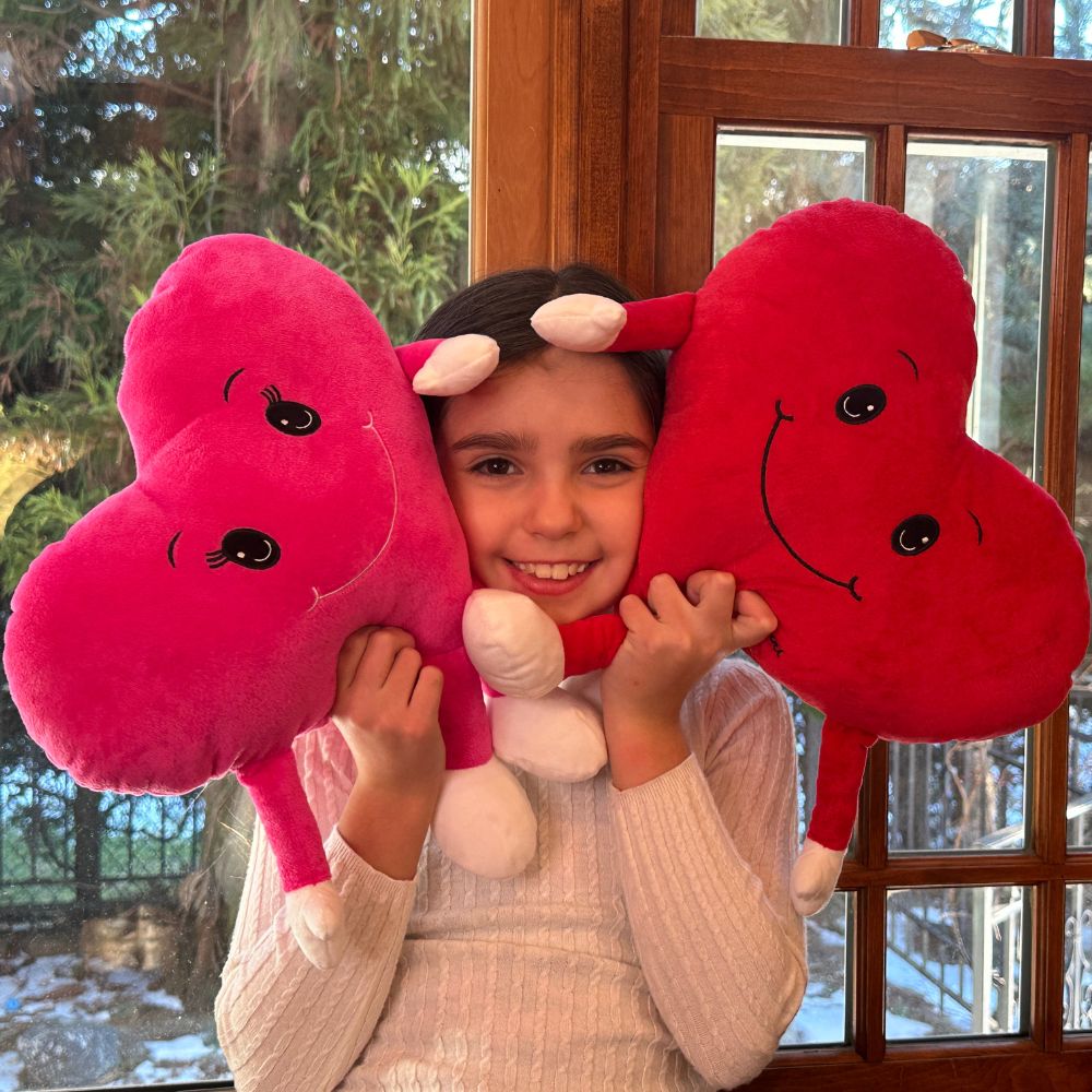 Red Heart Plush Pillow Love Pillow Cushion, 10 Inches