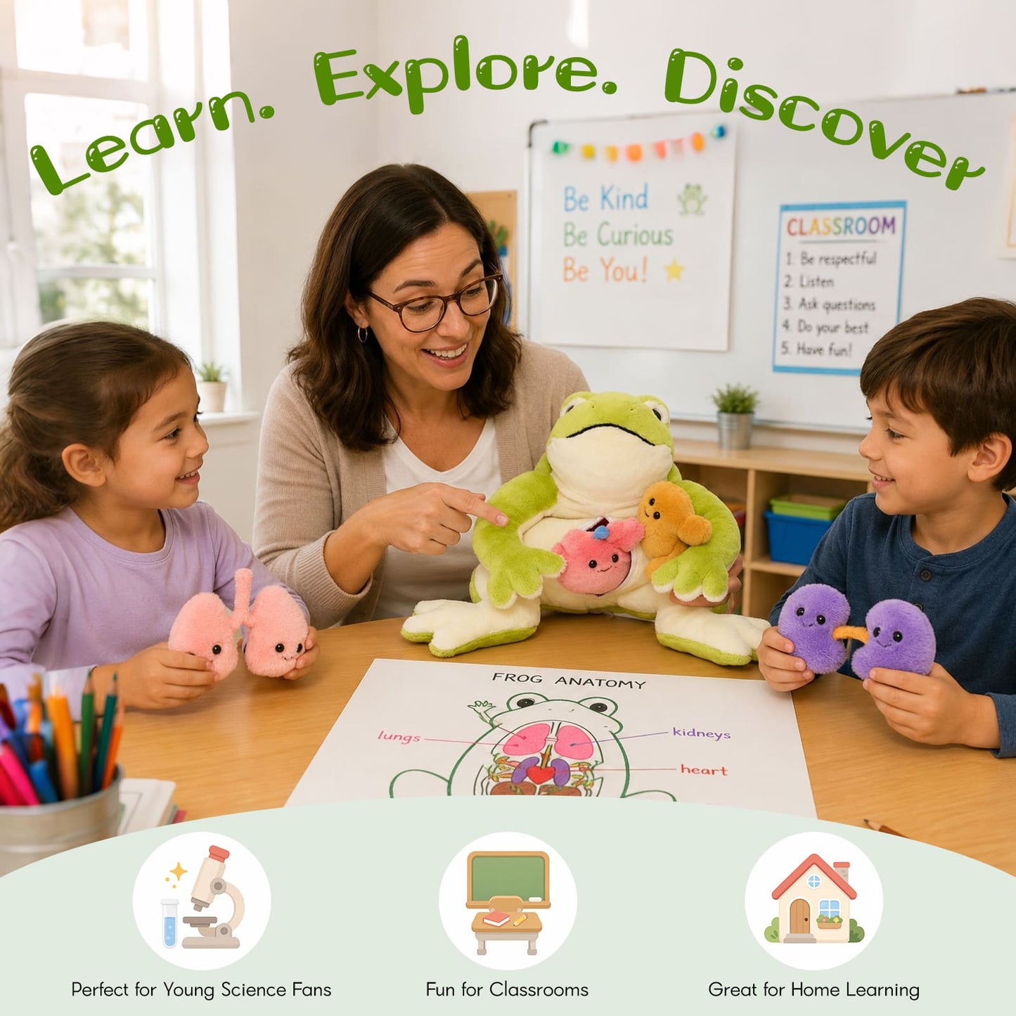 15.7 Inch Frog Anatomy Plush Toy with Removable Organs