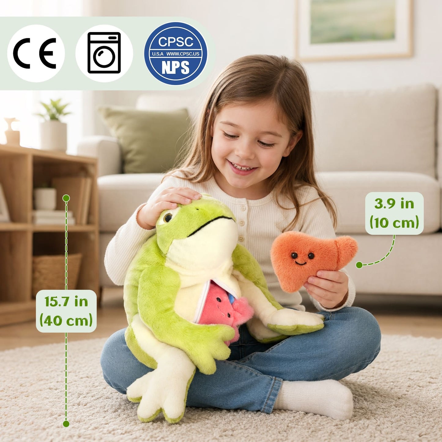 15.7 Inch Frog Anatomy Plush Toy with Removable Organs
