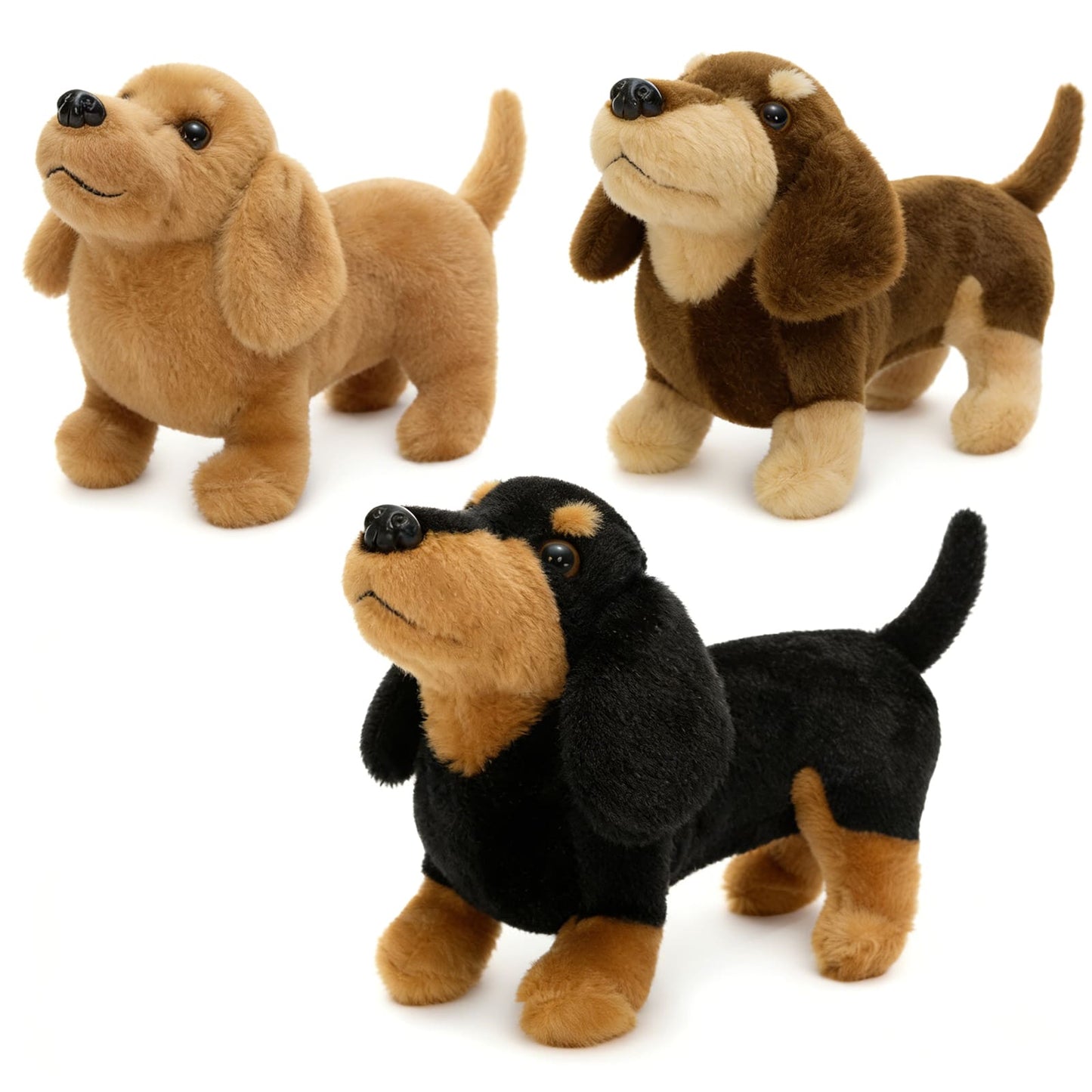 Three plush dachshunds in different colors on a white background